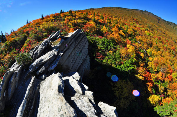 asheville fall