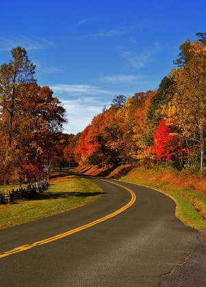 Blue Ridge Parkway Scenic Driving Tour