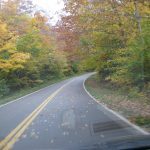 highway-in-autumn-leaves