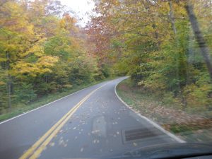 highway-in-autumn-leaves